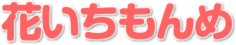 株式会社花いちもんめ