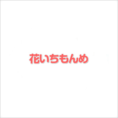 名古屋市を中心とした愛知エリアのハウスクリーニング 風呂釜洗浄なら 株式会社花いちもんめ